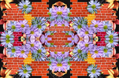 Flowers and wall