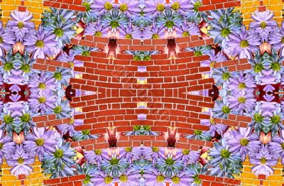 Flowers and wall