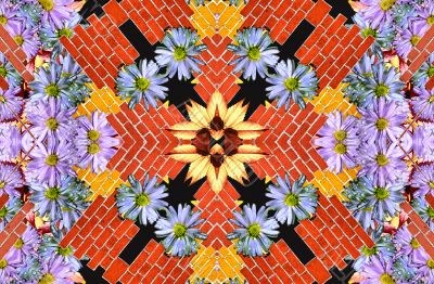 Flowers and wall