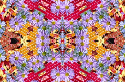 Flowers and wall
