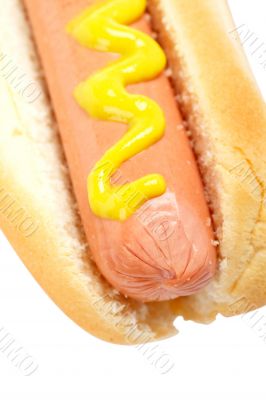 Hot dog with mustard