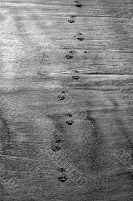 Footprint in black and white