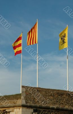 Flags in the wind