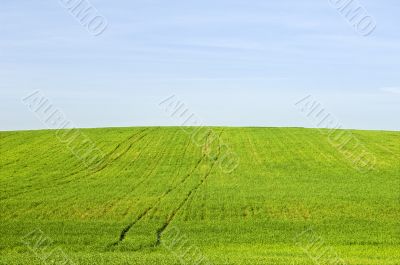 Harvest landscape