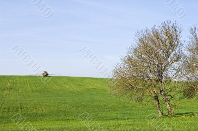 Rural scene