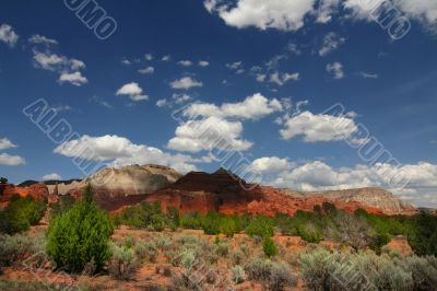 Kodachrome Basin 44