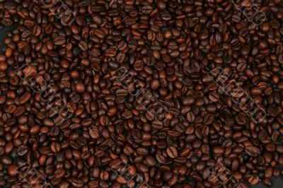 Coffee beans background