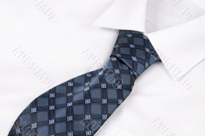 Business Man Suit