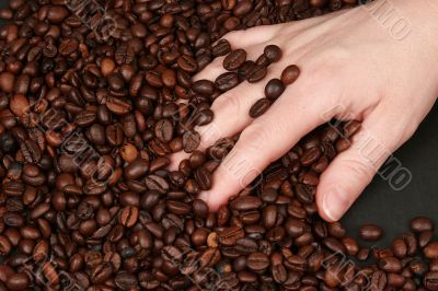 Coffee beans background