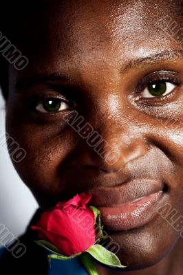 African rose