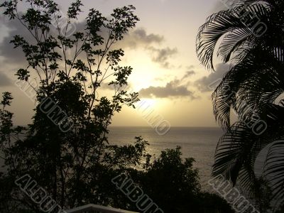 Tropical Sunset