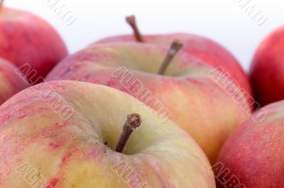 Close-up on fresh red apples