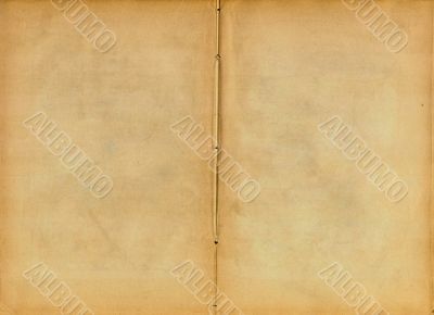 Old book open on both blank shabby pages (scan).