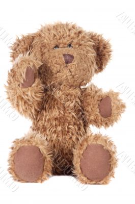 Teddy bear
