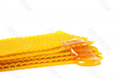 Honeycomb with honey