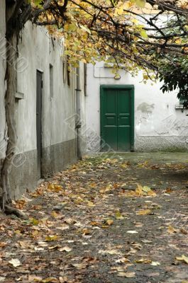 Autumn, green door