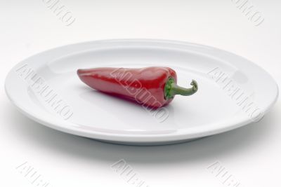 Single red chile pepper on a white plate