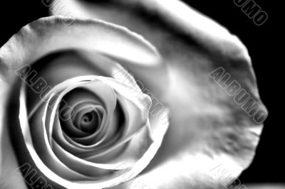 Romance