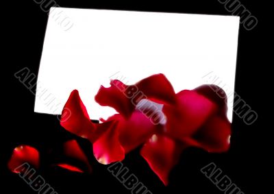 Love Letter