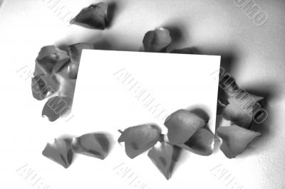 valentine composition