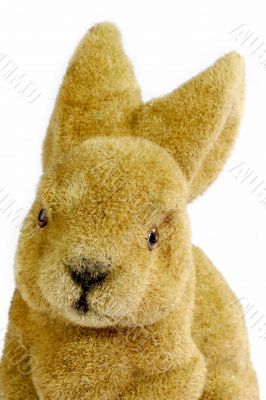 Old Easter Bunny