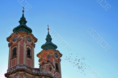 doves at the clear sky background