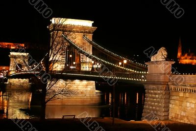catenary bridge, view from side