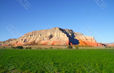 Redrock Farm 2