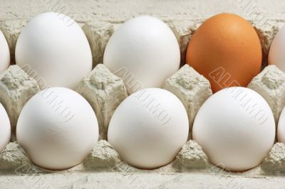 Brown Egg