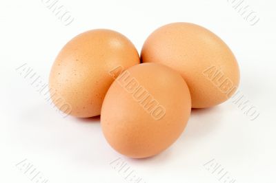 Fresh Eggs