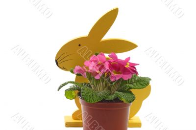 Easter bunny with flowers