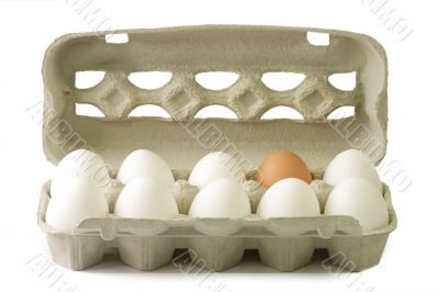 Eggs in a cardboard