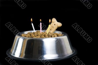 Dog`s birthday cake