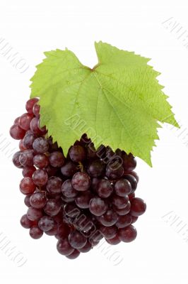Fresh Red Grapes