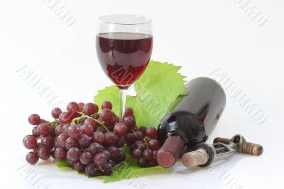Grapewine
