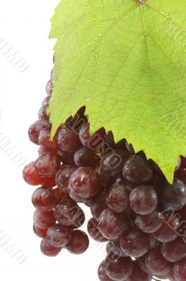 Juicy Red Grapes