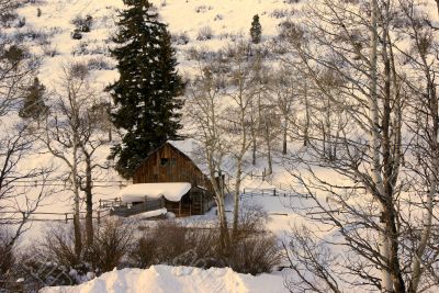 Old western barn in snow with aspens