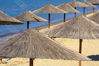 beach with umbrellas