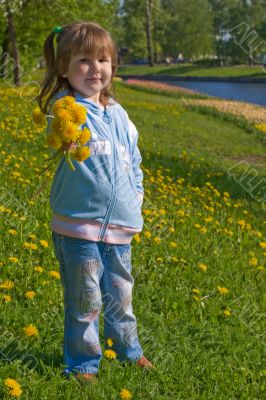 Giving dandelions bouquet