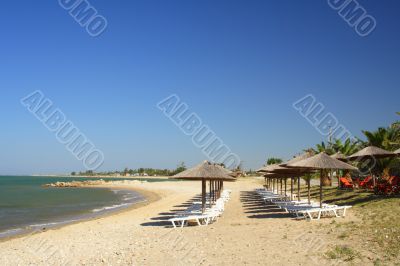 beach with umbrellas