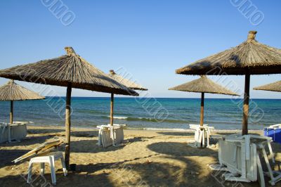 beach with umbrellas