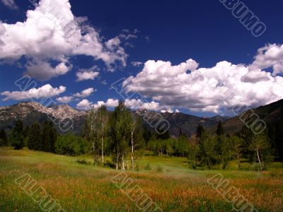 Mountain Medow 2