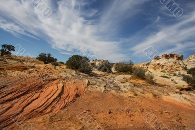 Canyonlands 43