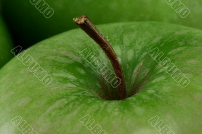 Green Apple 1