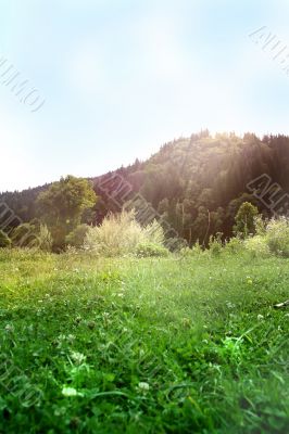 Green hill with blue sky