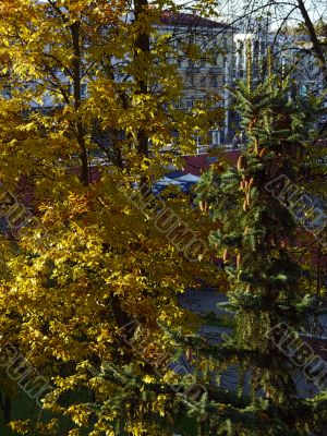 Vitebsk - autumn evening in town