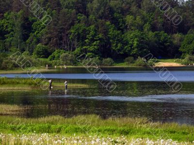 rest on lake