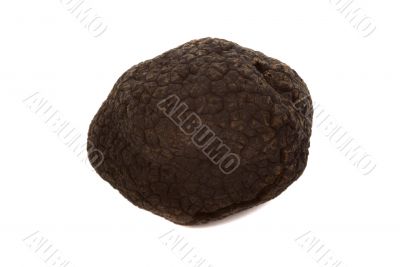 Black Truffles