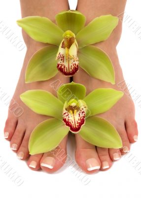 Feet and Orchids