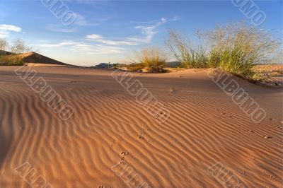 Orange sand